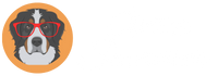 Óptica Summer